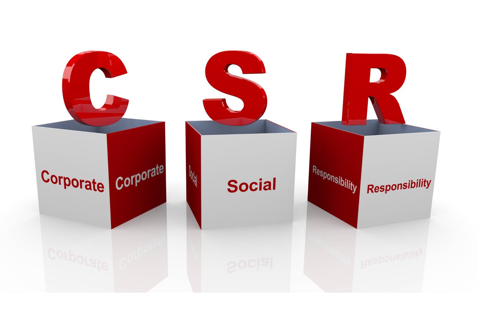 Corporate Social Responsibility (CSR)